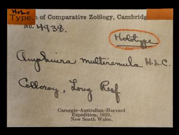 Media type: image;   Invertebrate Zoology OPH-4938 Description: Labels for this specimen included in the specimen tray.;  Aspect: labels